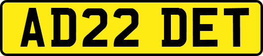 AD22DET