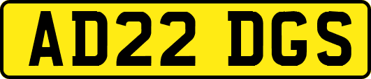 AD22DGS