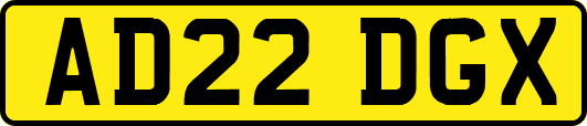 AD22DGX