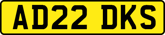 AD22DKS