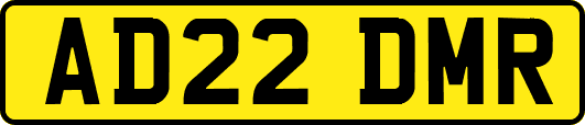 AD22DMR