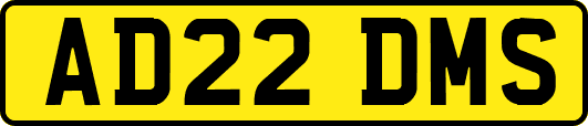 AD22DMS