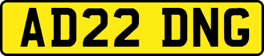 AD22DNG