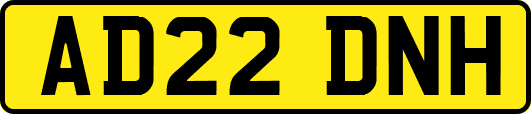AD22DNH