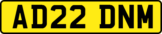 AD22DNM