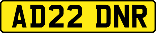 AD22DNR