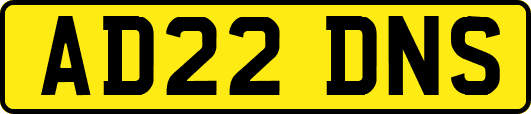 AD22DNS