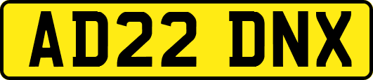 AD22DNX