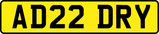 AD22DRY