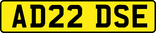 AD22DSE