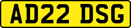 AD22DSG