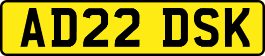 AD22DSK