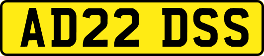AD22DSS
