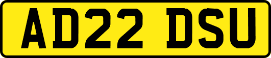 AD22DSU