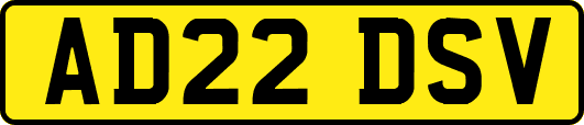 AD22DSV