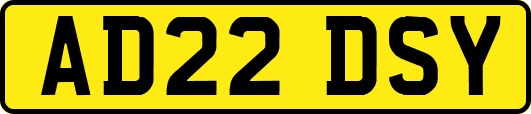 AD22DSY