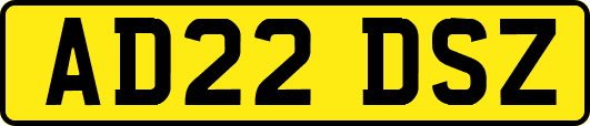 AD22DSZ