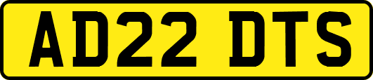 AD22DTS
