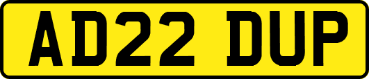 AD22DUP