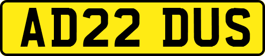AD22DUS