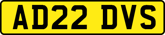 AD22DVS