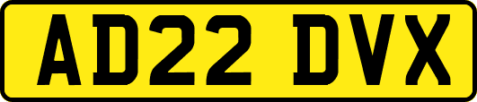 AD22DVX