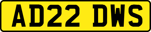 AD22DWS