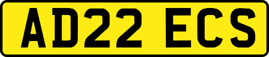 AD22ECS