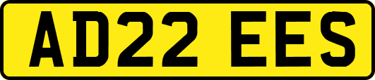 AD22EES