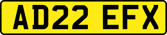 AD22EFX