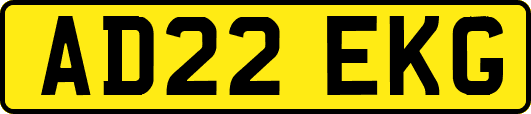 AD22EKG