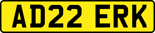 AD22ERK