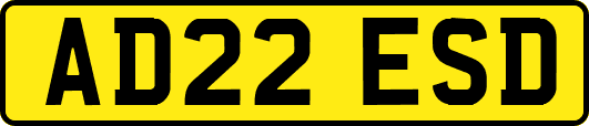 AD22ESD
