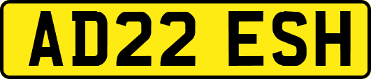 AD22ESH