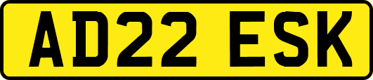 AD22ESK