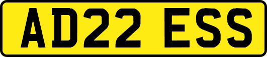 AD22ESS