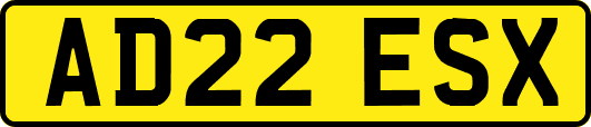 AD22ESX