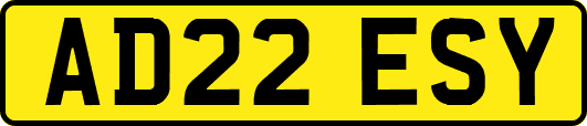 AD22ESY
