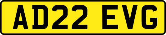 AD22EVG