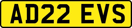 AD22EVS