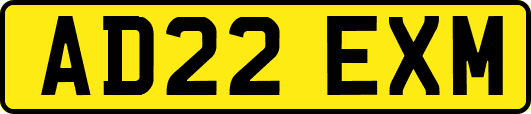 AD22EXM