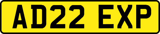 AD22EXP