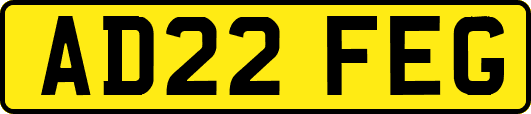 AD22FEG