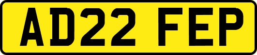 AD22FEP