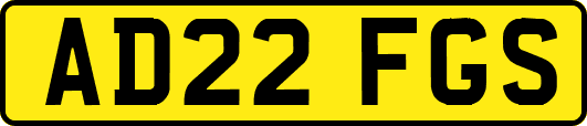 AD22FGS