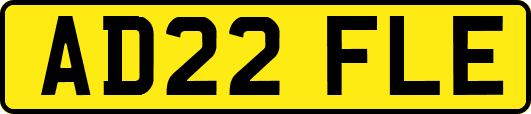 AD22FLE