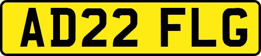 AD22FLG