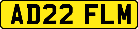 AD22FLM
