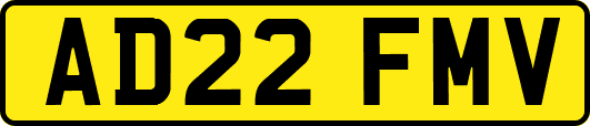 AD22FMV