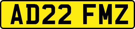 AD22FMZ